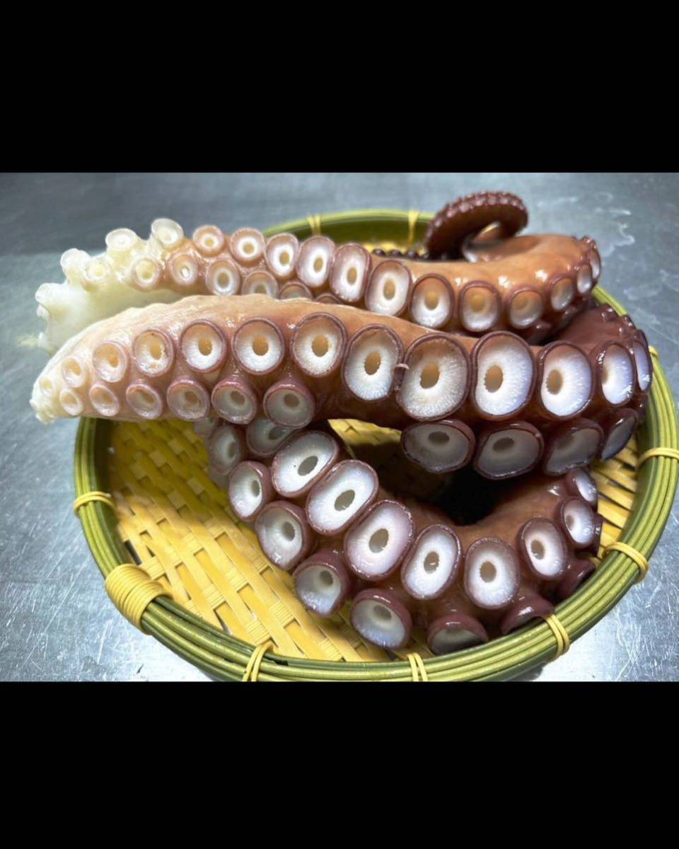 ボイルタコ　足　１０キロ　大〜特大