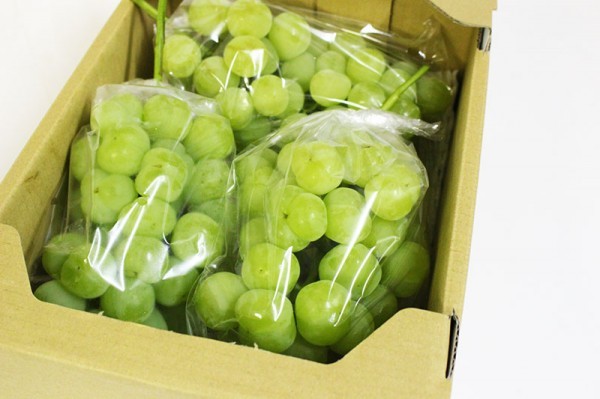 (9月28日頃より発送)【数量9出品】 岡山県特産!! 瀬戸ジャイアンツ 大房 3房入 (1房700～900g前後)　合計約2.5kg 1円スタート！