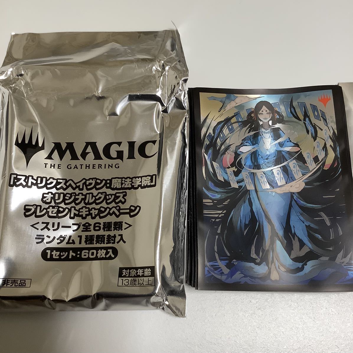MTG 時間のねじれ スリーブ 120枚 MtG用スリーブ 時間のねじれ日本画版