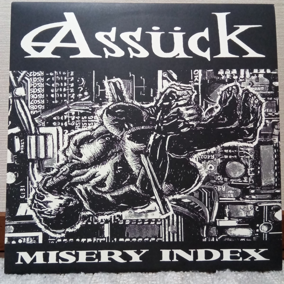 Misery Index Assück – - | Vinyl (LP, : RPM, 0 Album), 1 ⁄ Assuck