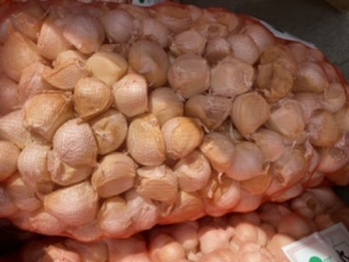 青森県 バラにんにく10Kg 特大、大 種オススメ③ 青森県 バラにんにく