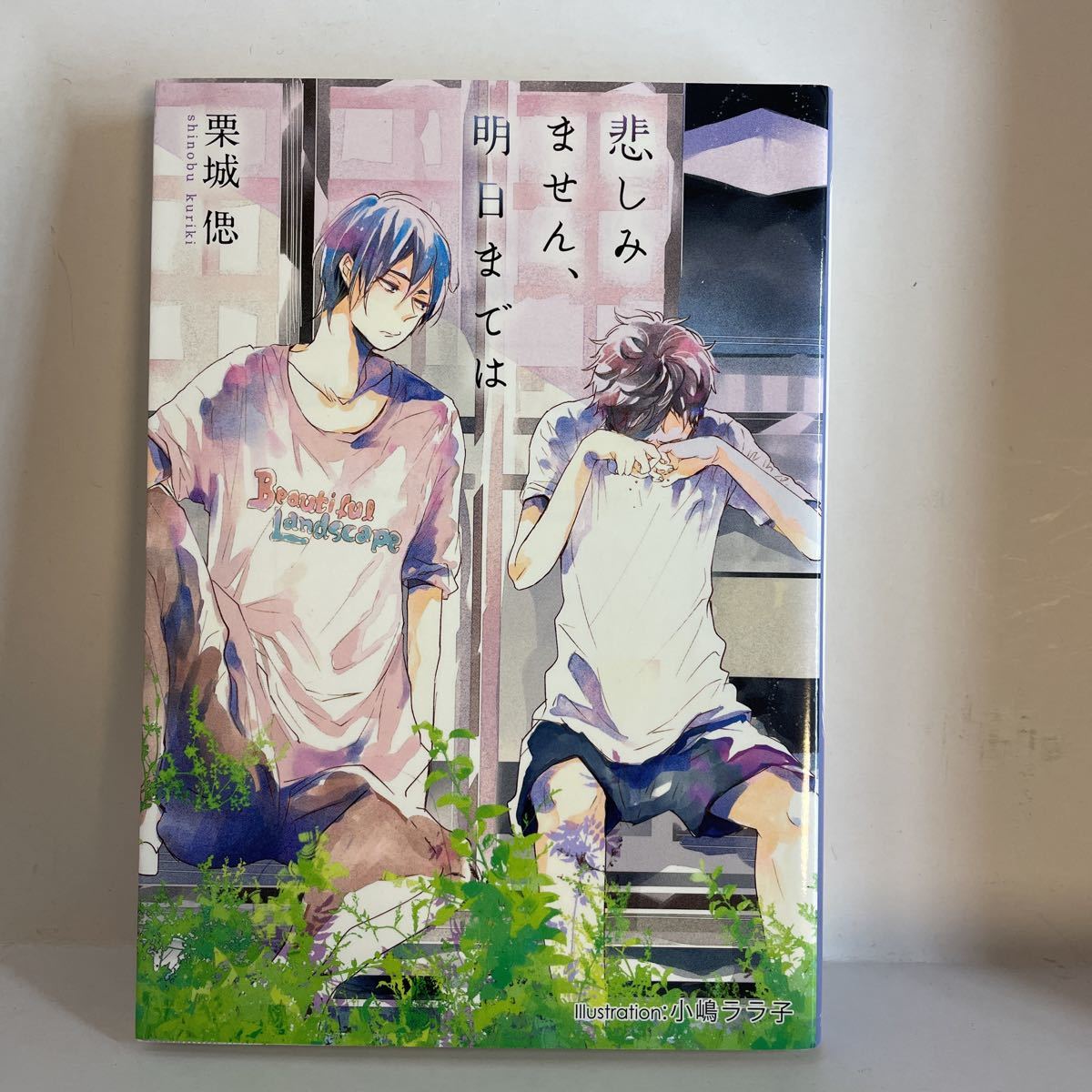 小嶋ララ子の値段と価格推移は？｜1件の売買データから小嶋ララ子の価値がわかる。販売や買取価格の参考にも。