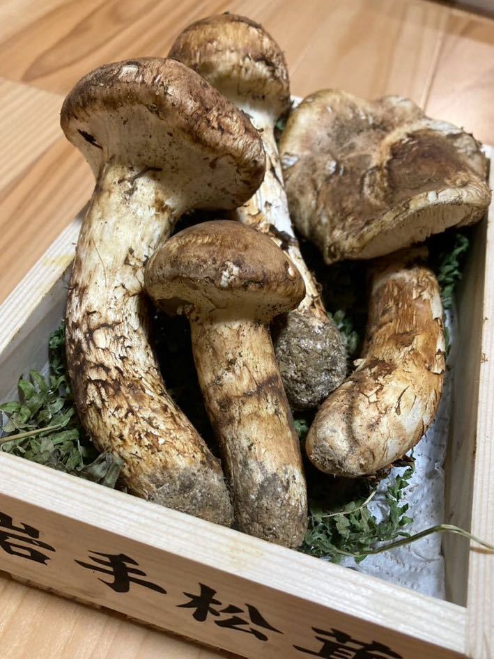 岩手県産松茸 国産 開き ②岩手県産天然松茸 国産本場 【公式通販】