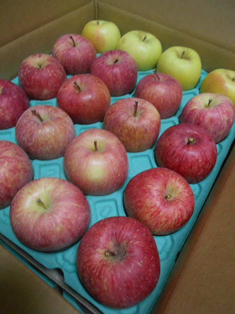 ★今季津軽のりんご「有袋ふじ」2段詰約10ｋｇ（36個）ぐんま名月4個　家庭用