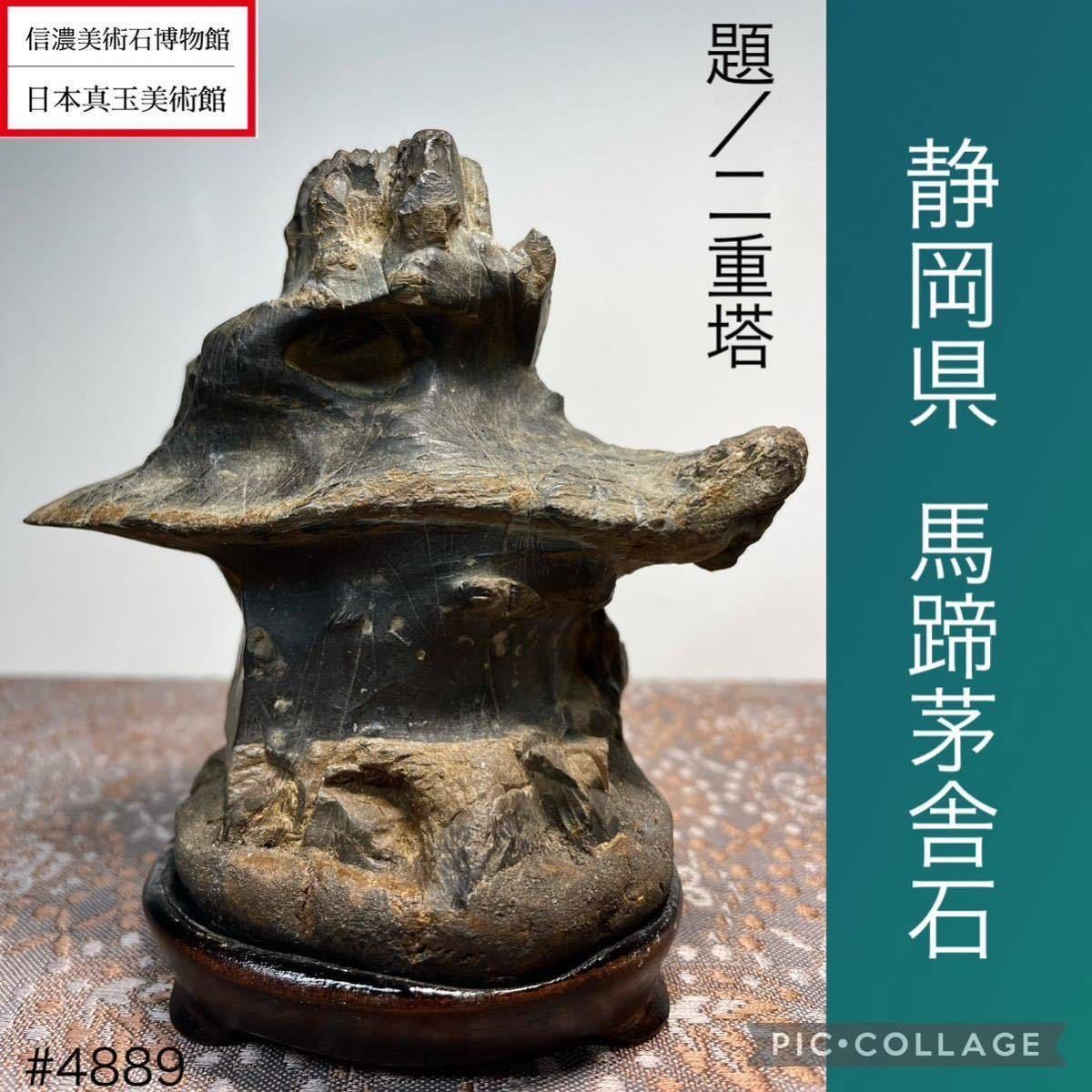 秋の大感謝祭】 水石 盆栽 静岡県 馬蹄石 茅舎石 葛谷石 『二重塔』横