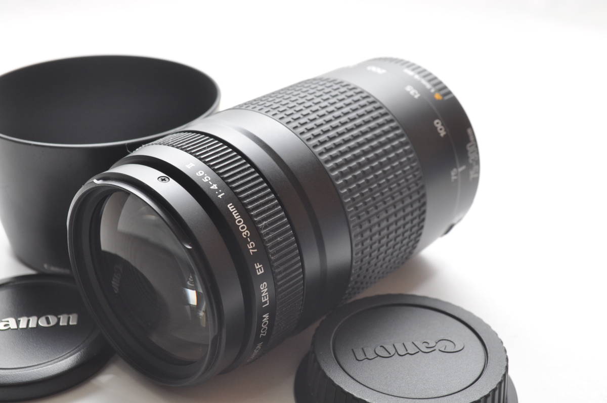 ☆実用美品☆ CANON キャノン EF 75-300mm F4-5.6 II ☆動作OK