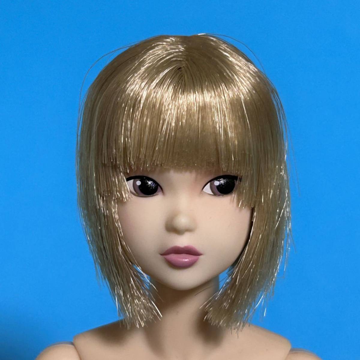 CCS PetWORKs momoko PW-momoko Doll Japan Solaris (Petworks) 17AN 