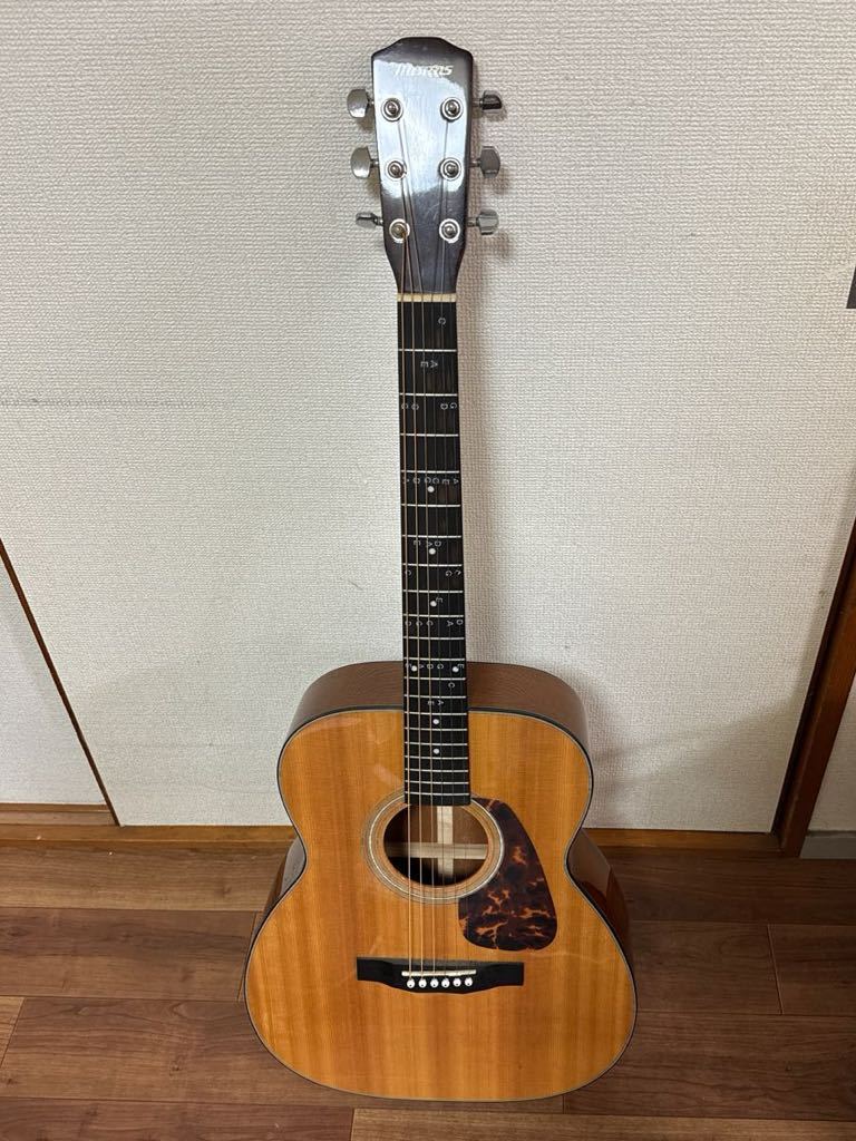 Morris モーリス F-351NAT アコースティックギター 【公式通販】