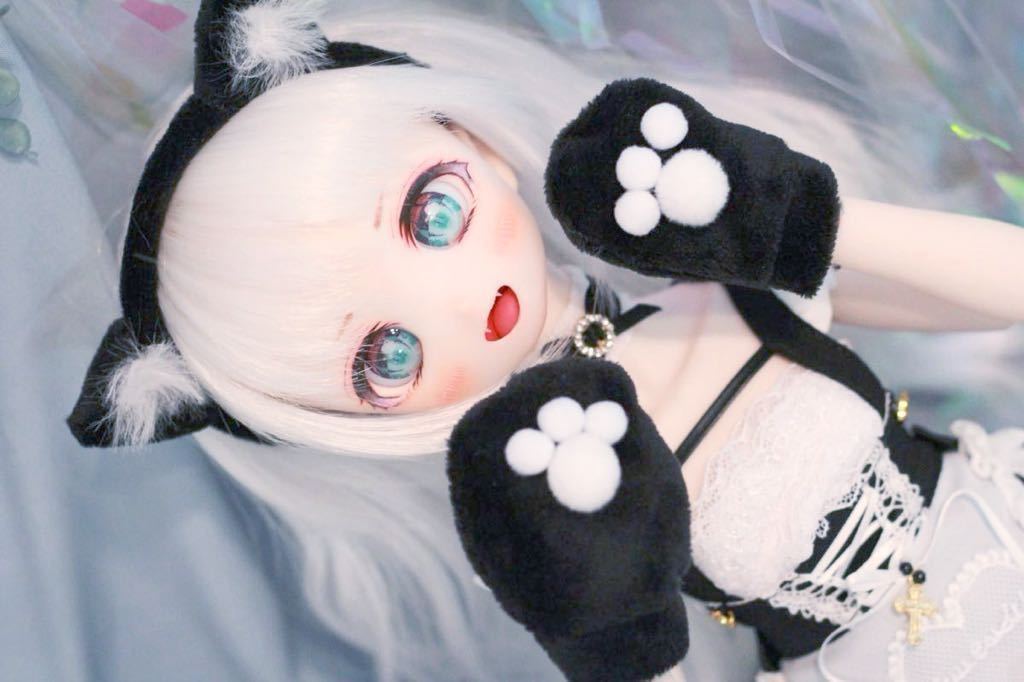 ボークス ドルフィードリーム MDD DDH-28 カスタムヘッド SW ドール