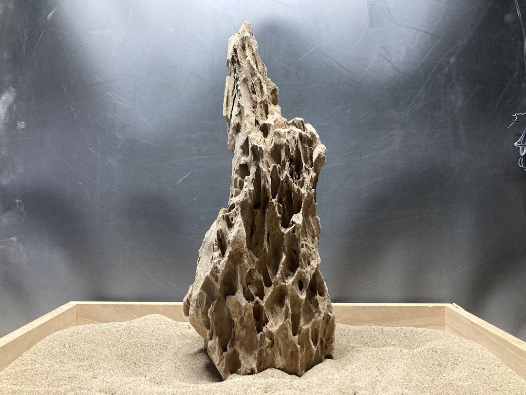 1[特大]ADA 黄虎石 約3.7キロ☆水槽 レイアウト アクアリウム 気孔石