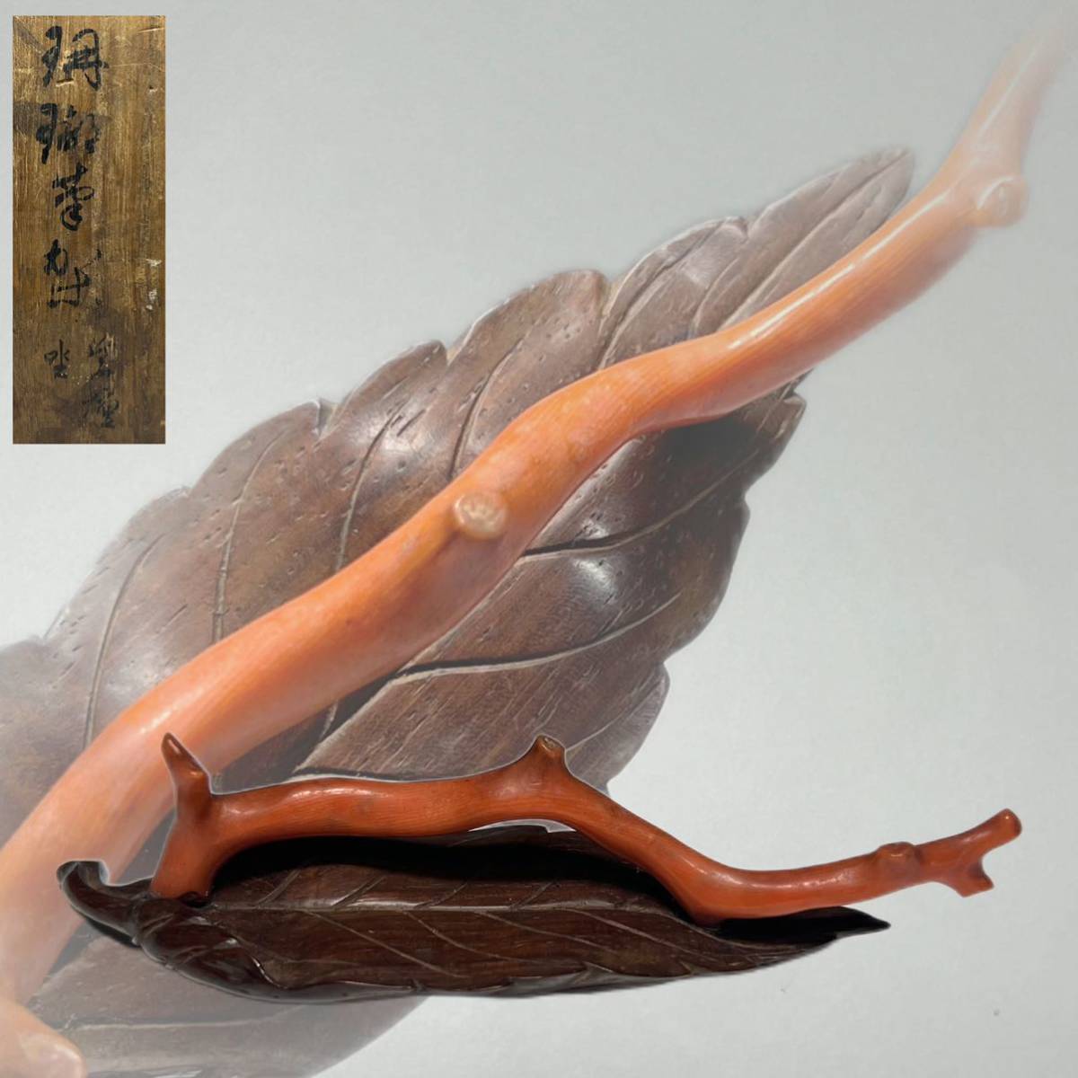 2411606-015 珊瑚 サンゴ×本鼈甲 べっ甲 彫刻 帯留 重量約11.7g 和装 