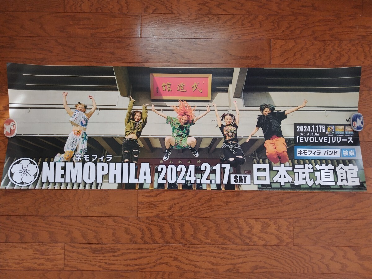 送料無料】 NEMOPHILA 日本武道館ポスター5枚セット リストバンド5色