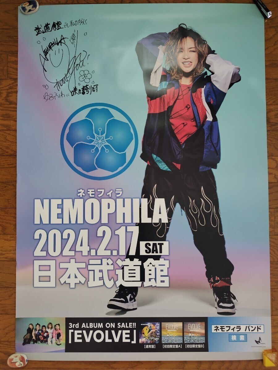 送料無料】 NEMOPHILA 日本武道館ポスター5枚セット リストバンド5色