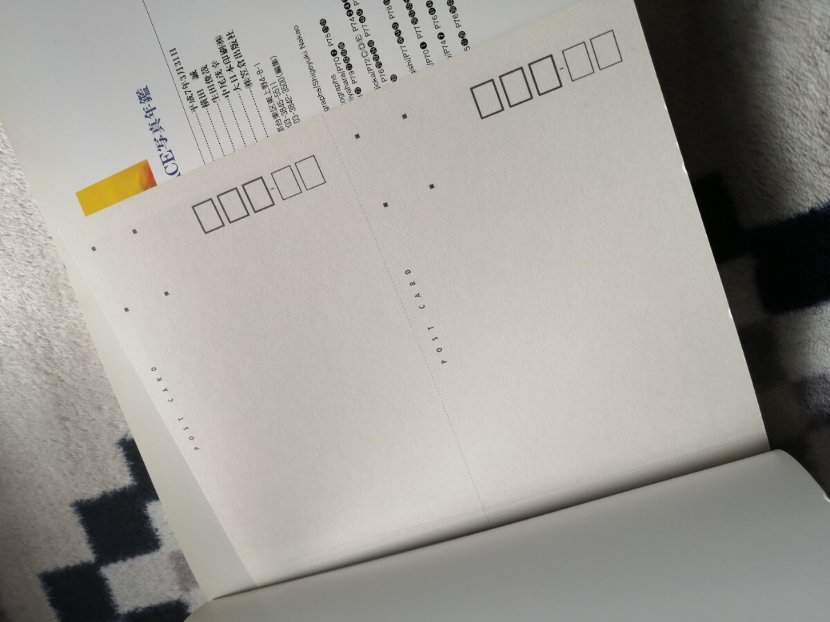  中央競馬 GRADE RACE写真年鑑 ポストカード付録　ナリタブライアンビワハヤヒデ 永久保存版 _4