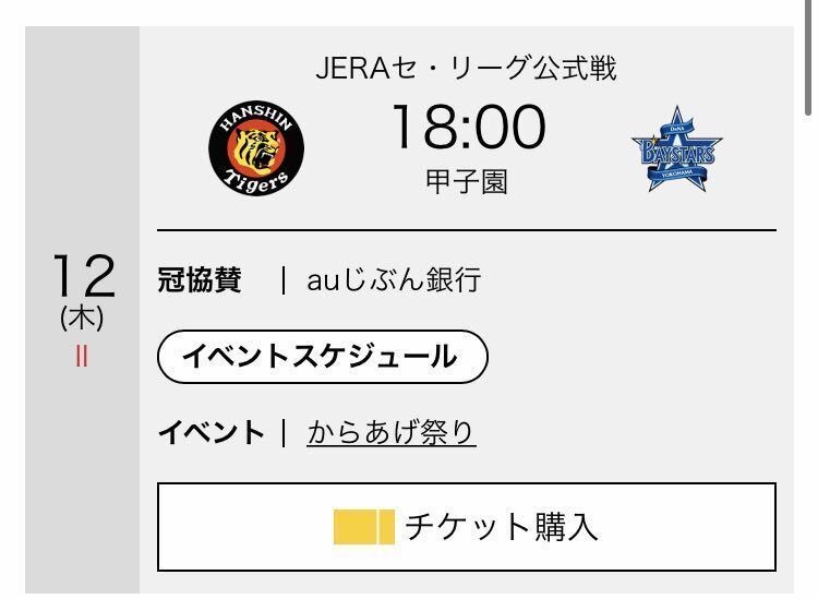 9/12（木）18時開始　阪神タイガースvs DeNAベイスターズ　1塁アルプス席2連番_2