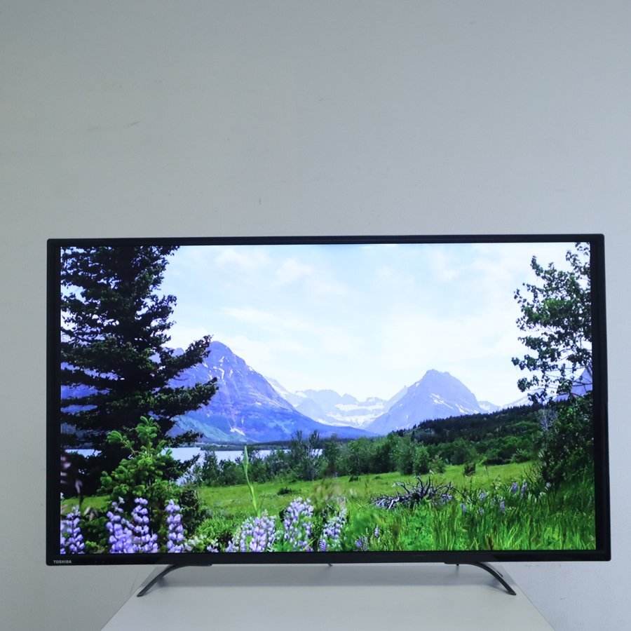 東芝 4K対応 レグザ 49インチ 液晶テレビ 49C310X 2017年製 リモコン
