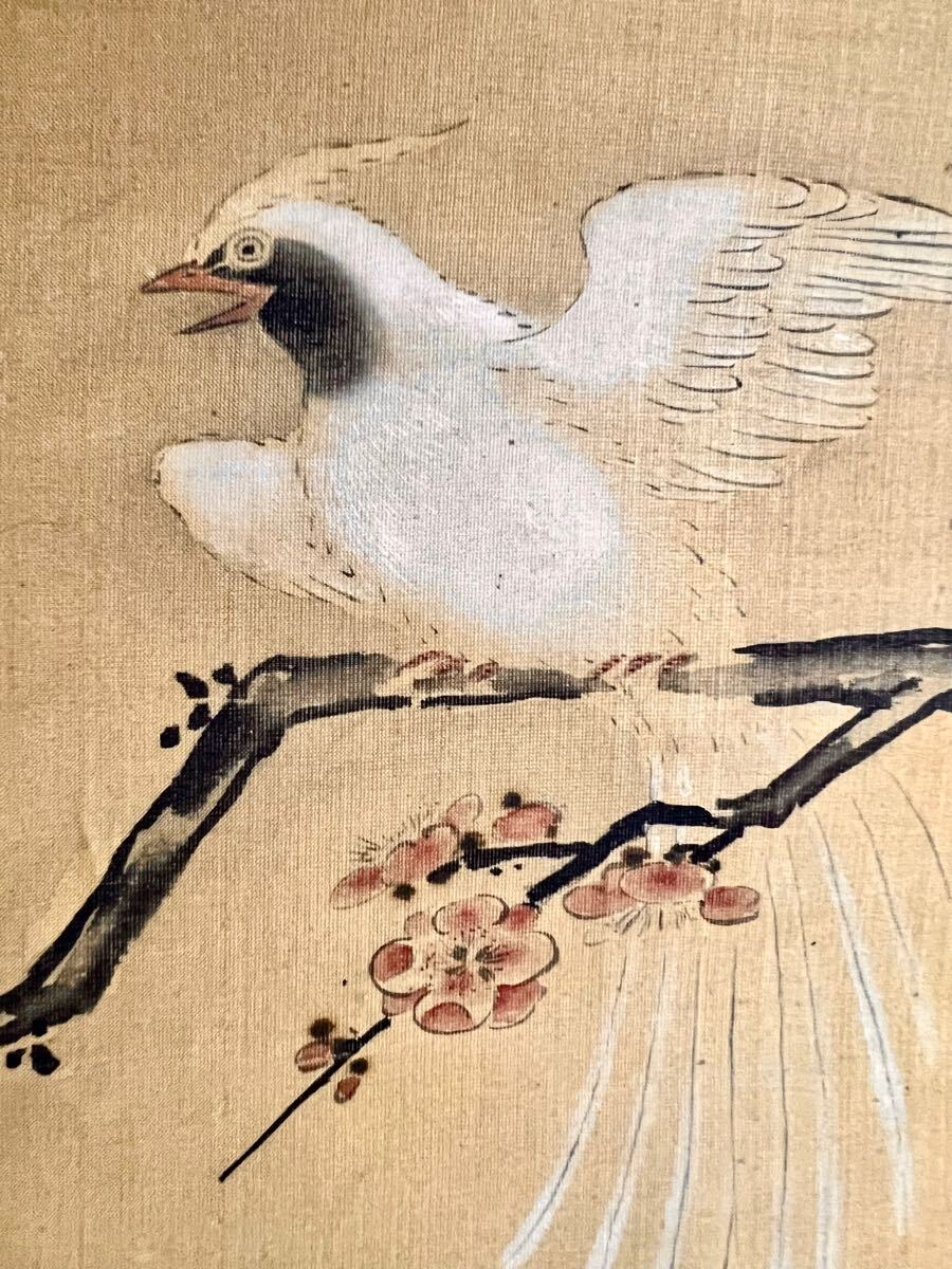 清風 梅花小禽図 掛軸 肉筆絹本 共箱 花鳥図 紅白梅 春掛 古美術 真作】【仙】清原雪信「紅梅尾長鳥之図」絹本 肉筆 合箱 春景 花鳥図