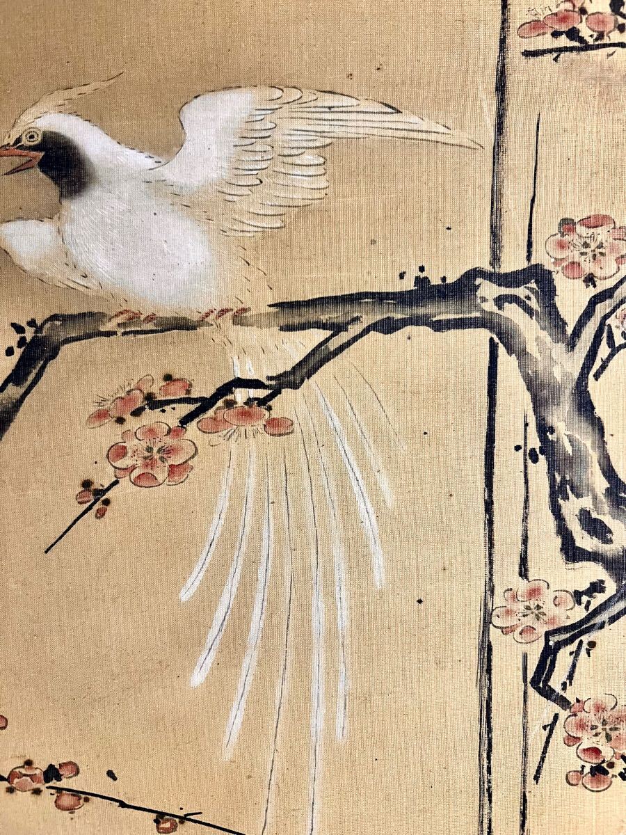 清風 梅花小禽図 掛軸 肉筆絹本 共箱 花鳥図 紅白梅 春掛 古美術 真作】【仙】清原雪信「紅梅尾長鳥之図」絹本 肉筆 合箱 春景 花鳥図