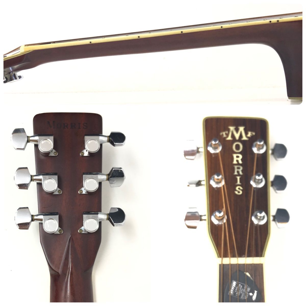 Morris モーリス W-80 スリーピースバック 縦ロゴ アコースティック