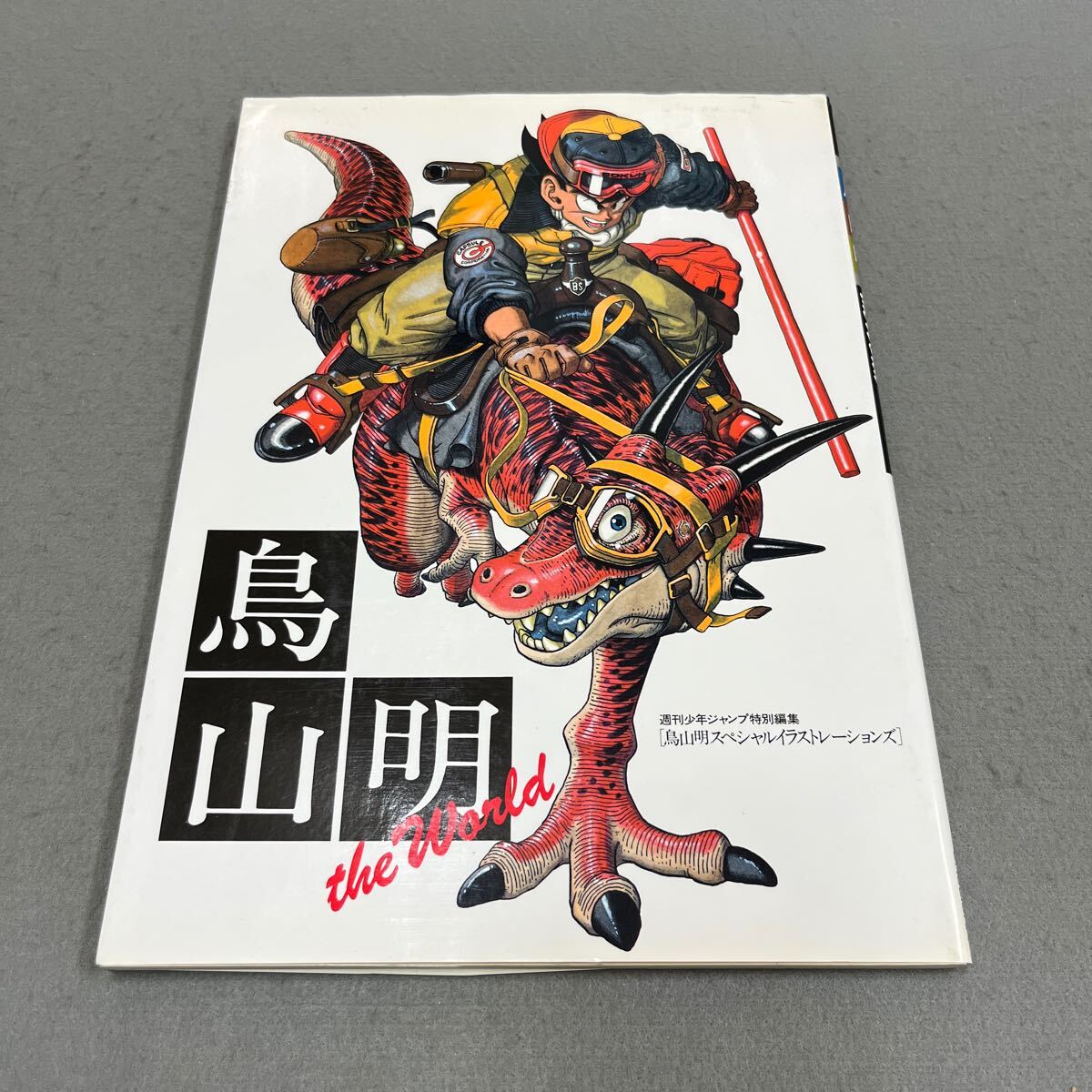 鳥山明 THE WORLD◎1992年1月25日第11刷発行◎鳥山明スペシャル