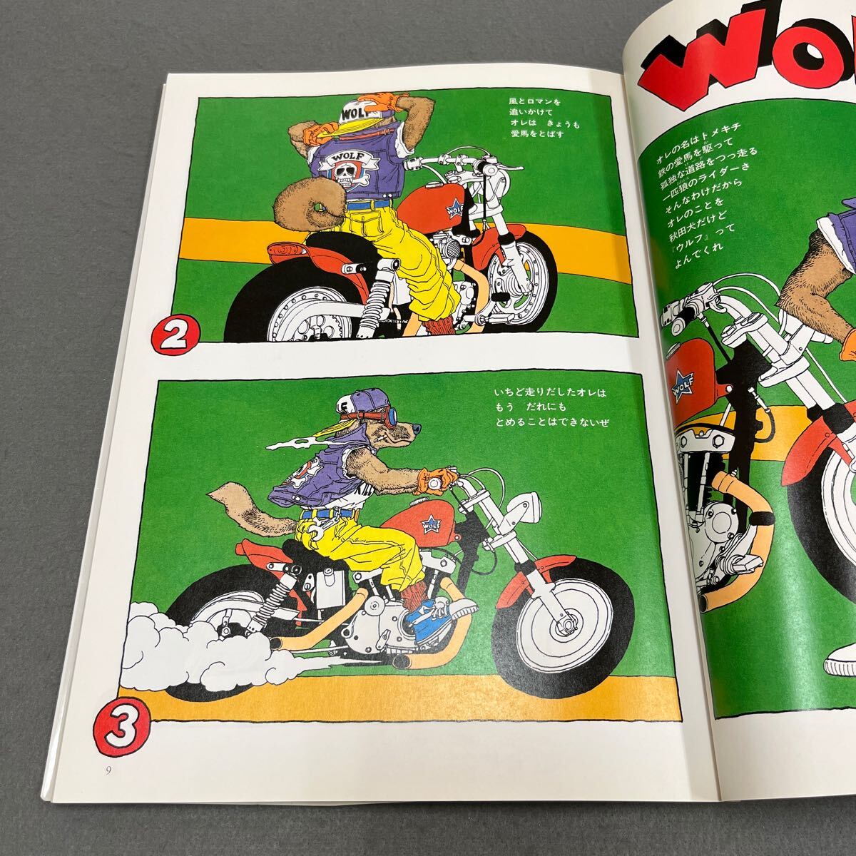 鳥山明 THE WORLD◎1992年1月25日第11刷発行◎鳥山明スペシャル
