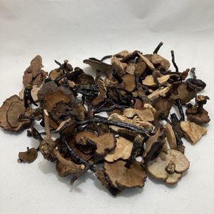 サルノコシカケ 霊芝の値段と価格推移は？｜2件の売買データから