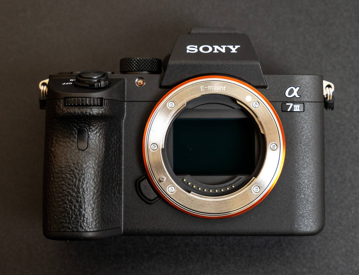 美品 ショット数極小 SONY α7Ⅲ ILCE-7M3 ソニーフルサイズミラーレス 