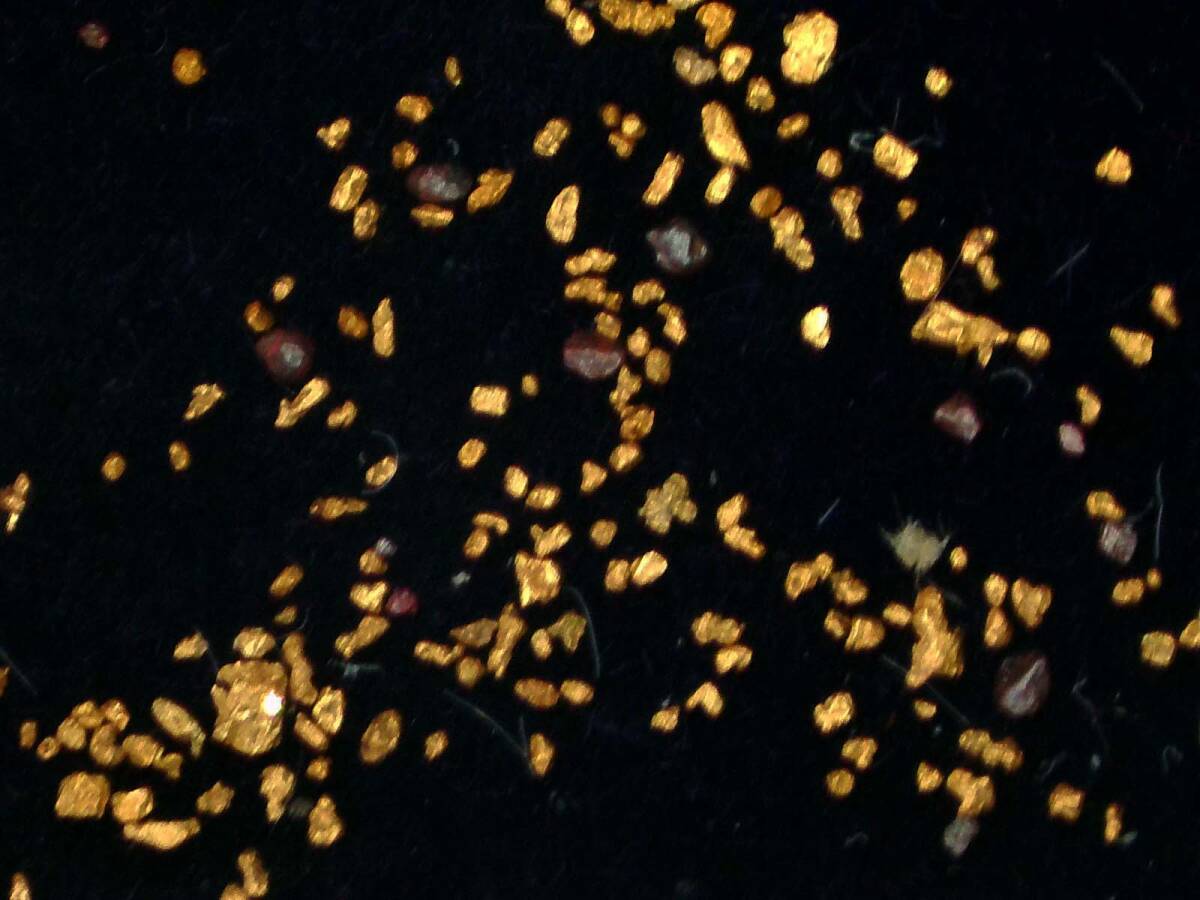 北海道 天然砂金 20粒　砂金 国産鉱物 北海道八十士の砂金 - 0579 砂金 岐阜県恵那市笠置 トパーズ