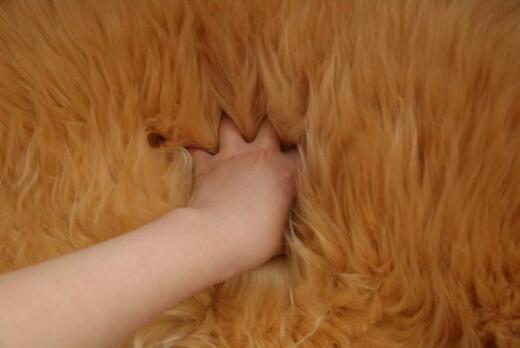 ムートン 高級贅沢 メリノ種羊 天然ムートン100% ラグマット2P/70*200　 ムートンラグ ムートンフリース ファー マット_3