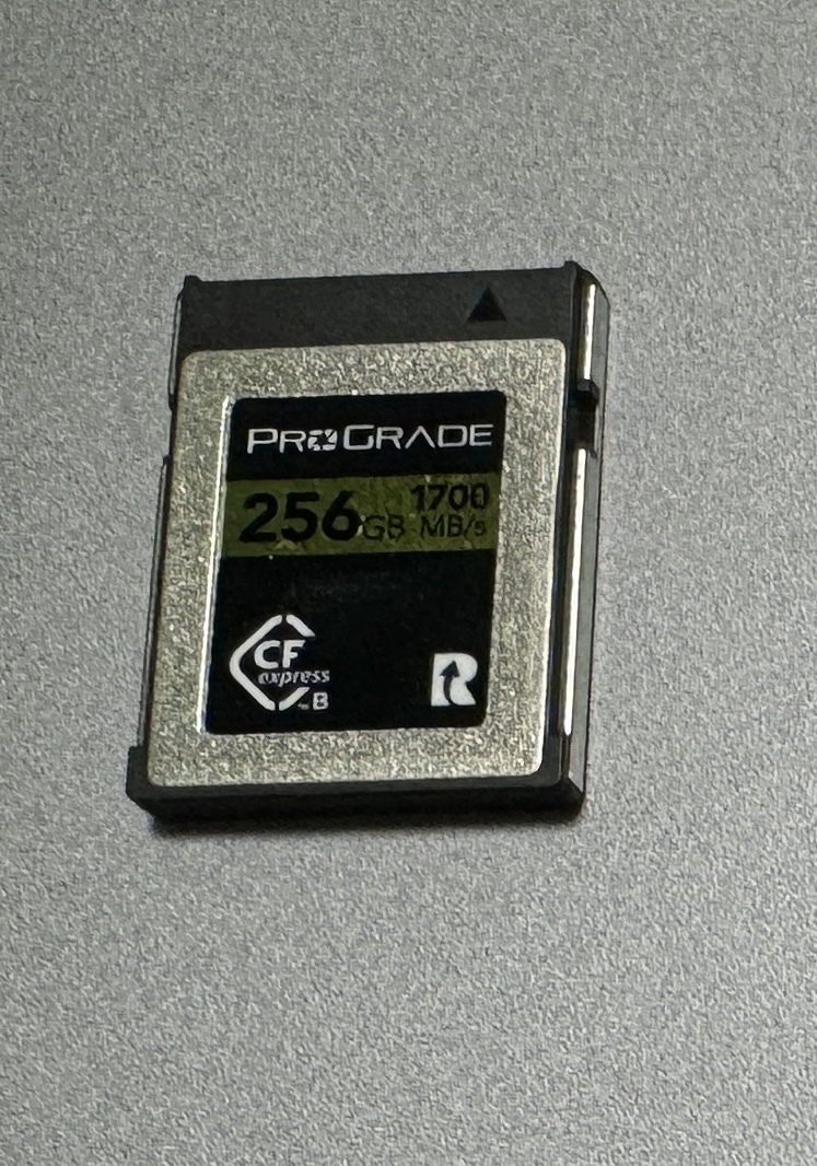 ProGrade Digital CFexpress Type B GOLD 256GB CFexpress Type 【公式