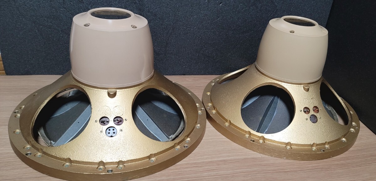 TANNOY タンノイ HPD385⁄8 Monitor ネットワーク 公式通販 ペア