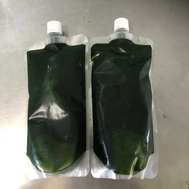 火曜に入荷　生クロレラ　５００ｍｌ×２本　クール便_1