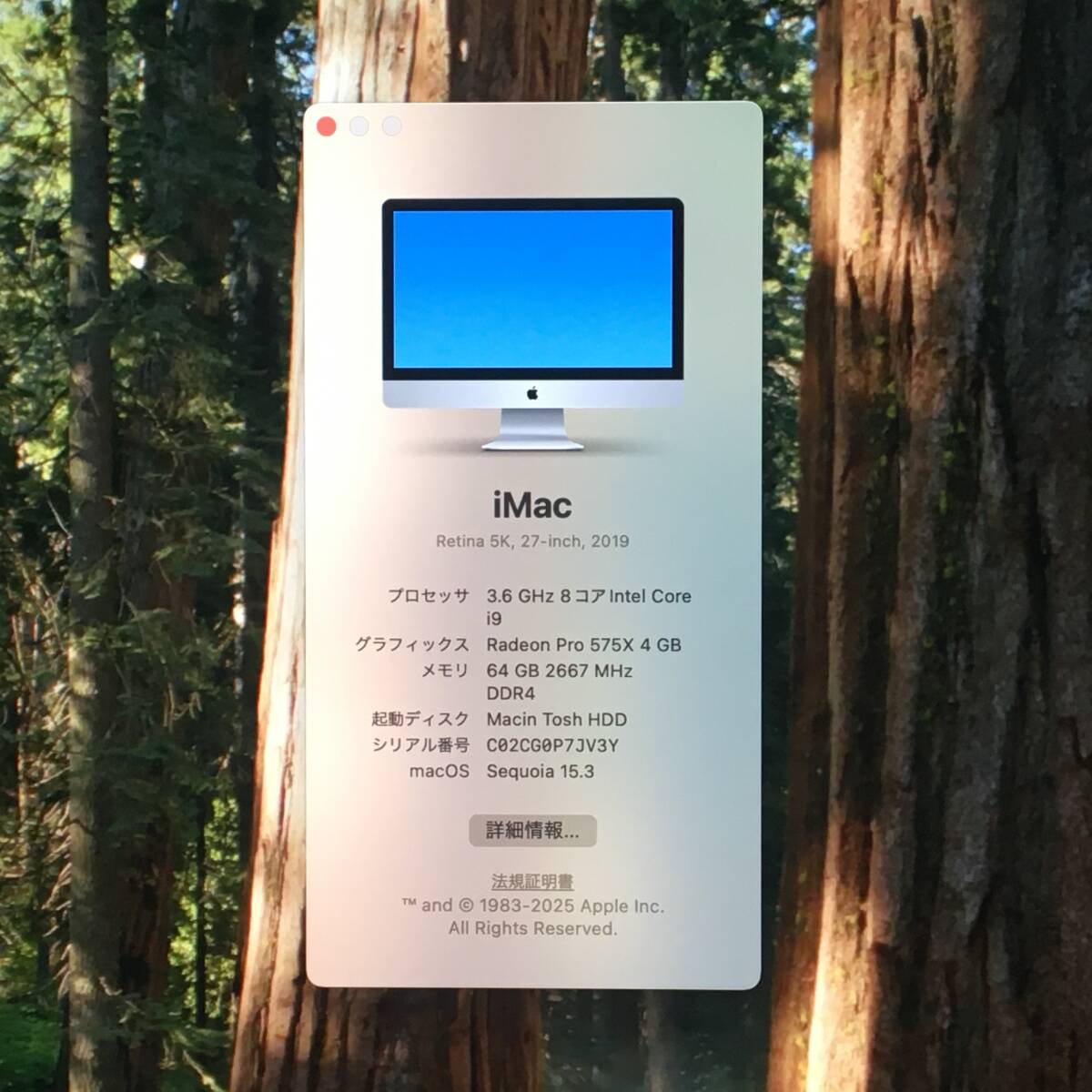 ☆【27インチ】Apple iMac (Retina 5K， 27-inch， 2019) A2115『Core