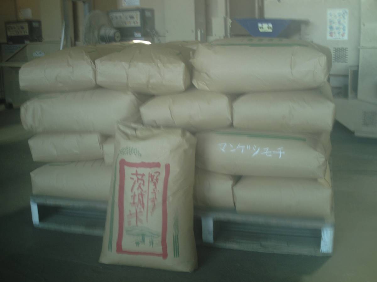 平成28年度産 もち米 満月 埼玉県産 30㎏ 玄米