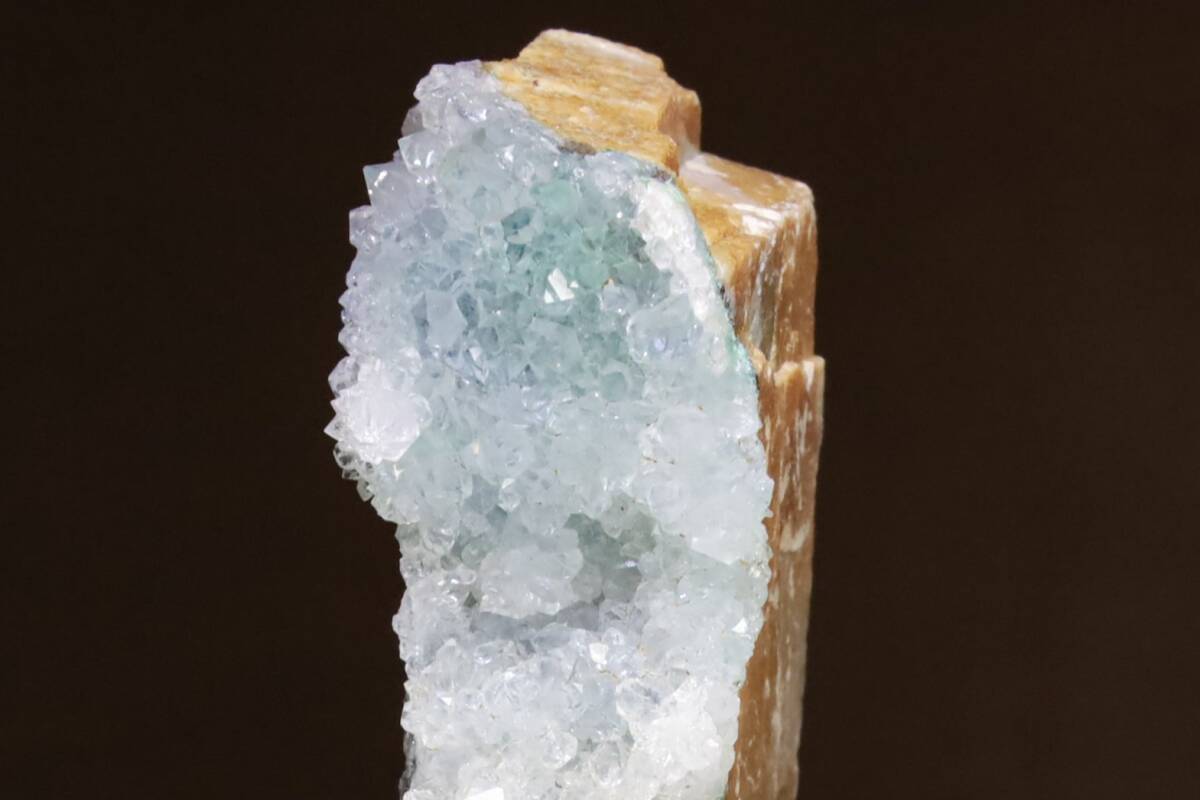 クリソコラの情報