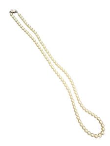 SILVER.PAT.PENDINGの値段と価格推移は？｜1件の売買データからSILVER