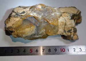 珪化木 化石の値段と価格推移は？｜16件の売買データから珪化木 化石の