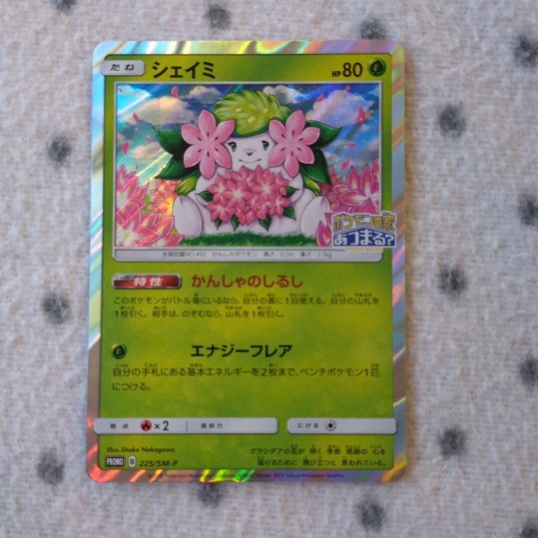 ポケモンの家あつまるの値段と価格推移は？｜2件の売買データから