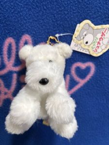 くったりシュナウザーの値段と価格推移は？｜1件の売買データからくっ