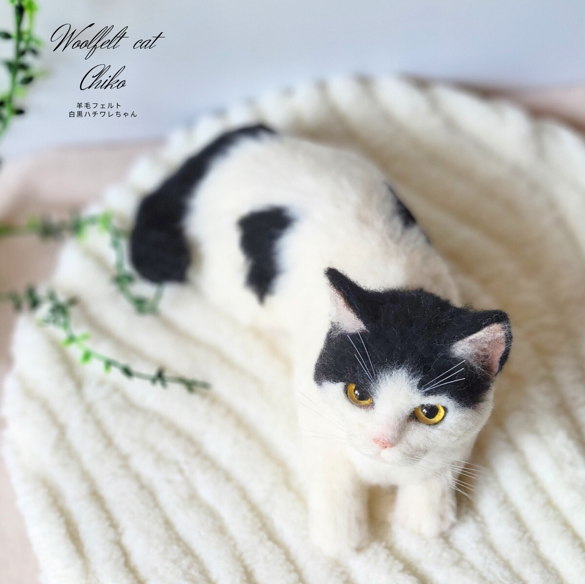 ●ねこのおたより●羊毛フェルト　猫　ハチワレ　白　黒　ハンドメイド　マグネット Chiko】 羊毛フェルト 猫 リアル 手作り ハンドメイド 猫ちゃん 1点物