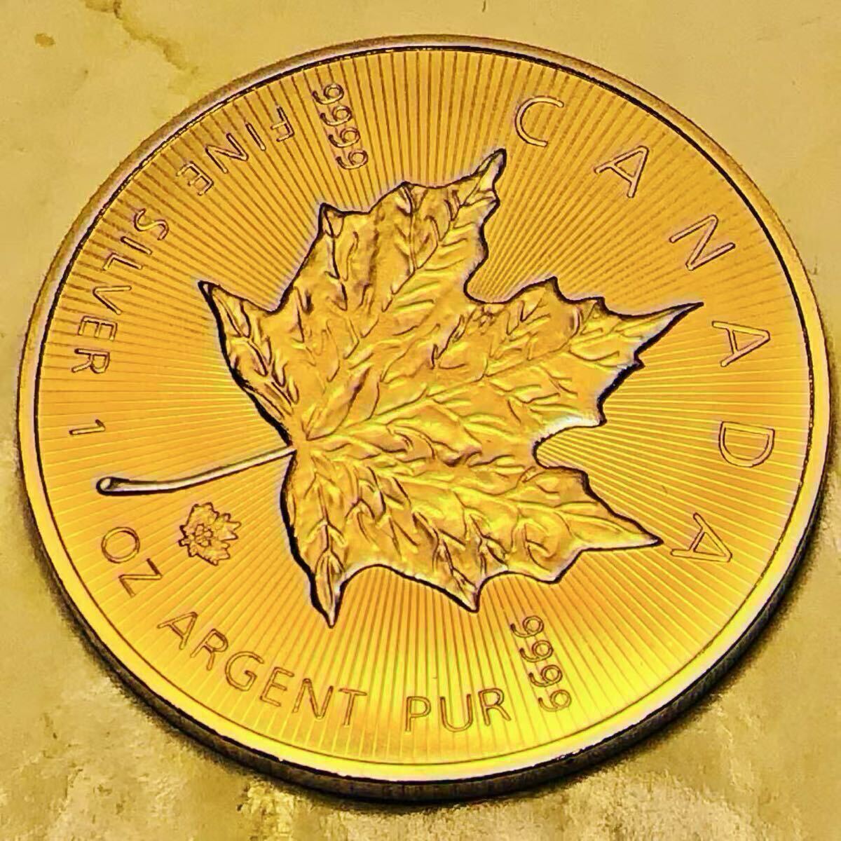 金貨 カナダ エリザベス2世記念 2023年 1オンス 大型金貨 メイプル