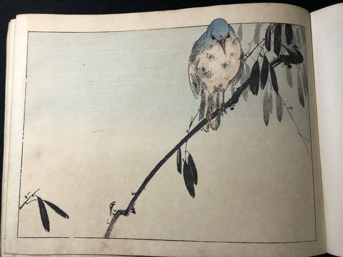 8513渡辺省亭!彩色木版画 絵入 絵本 □省亭花鳥帖□ 花鳥画 画譜 草花