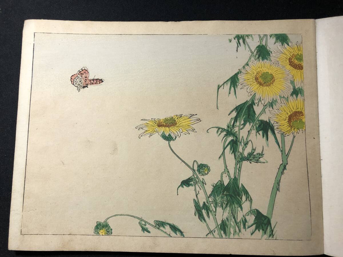 8513渡辺省亭!彩色木版画 絵入 絵本 □省亭花鳥帖□ 花鳥画 画譜 草花