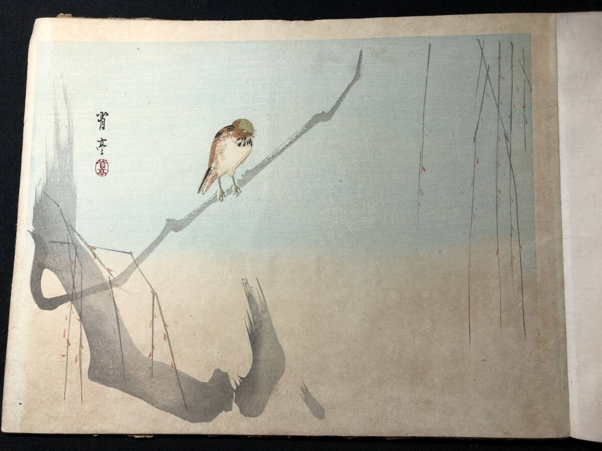 8513渡辺省亭!彩色木版画 絵入 絵本 □省亭花鳥帖□ 花鳥画 画譜 草花