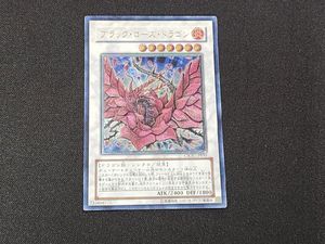遊戯王ブラック ローズの値段と価格推移は？｜40件の売買データから