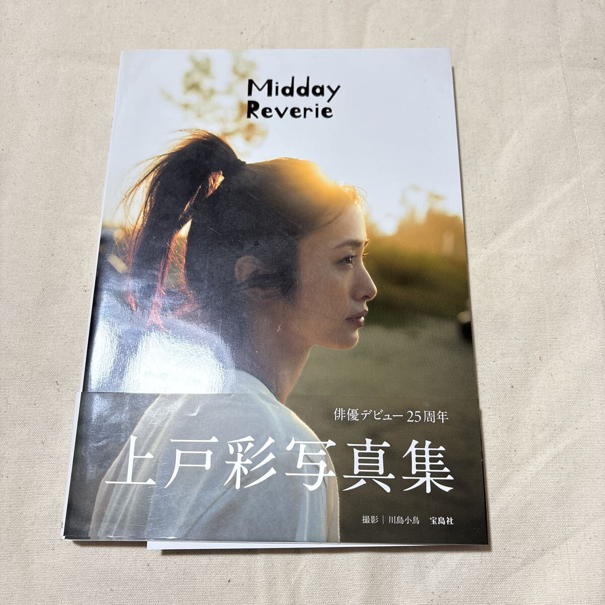 上戸彩写真集の値段と価格推移は？｜8件の売買データから上戸彩写真集