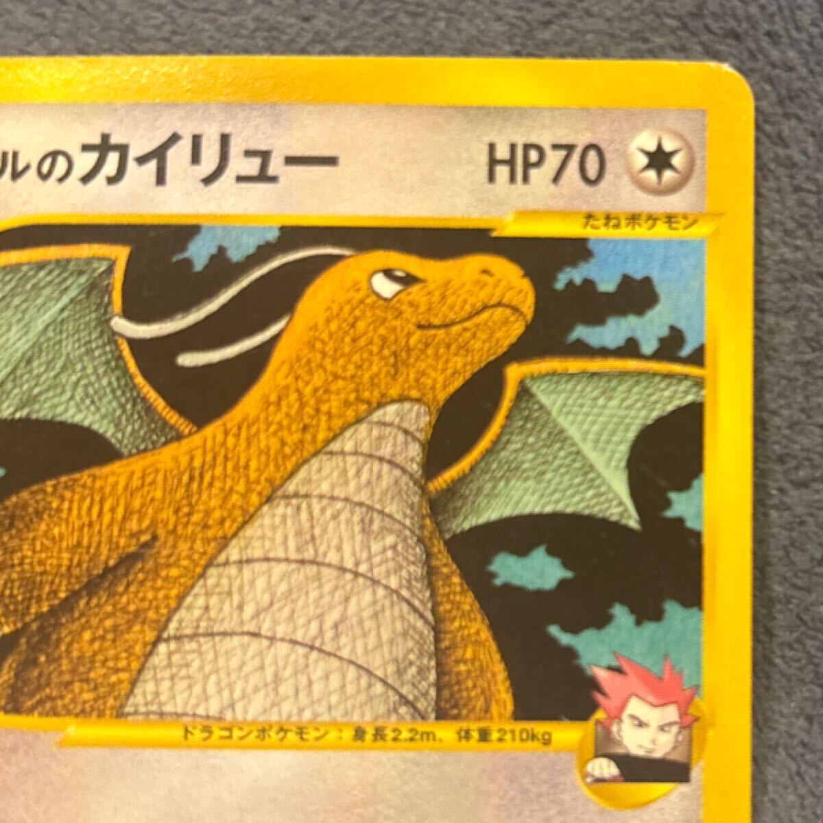ポケモンカード VS 第1弾 リーダーズポケモン 草雷ハーフデッキ ワタル