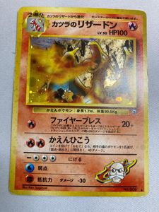 カツラのリザードンの値段と価格推移は？｜29件の売買データからカツラ