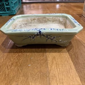 中国 植木鉢のYahoo!オークション(旧ヤフオク!)の相場・価格を見る