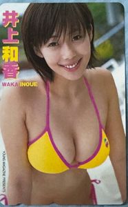 井上和香 マガジンの値段と価格推移は？｜21件の売買データから井上